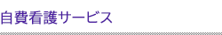 看護・付き添いサービス